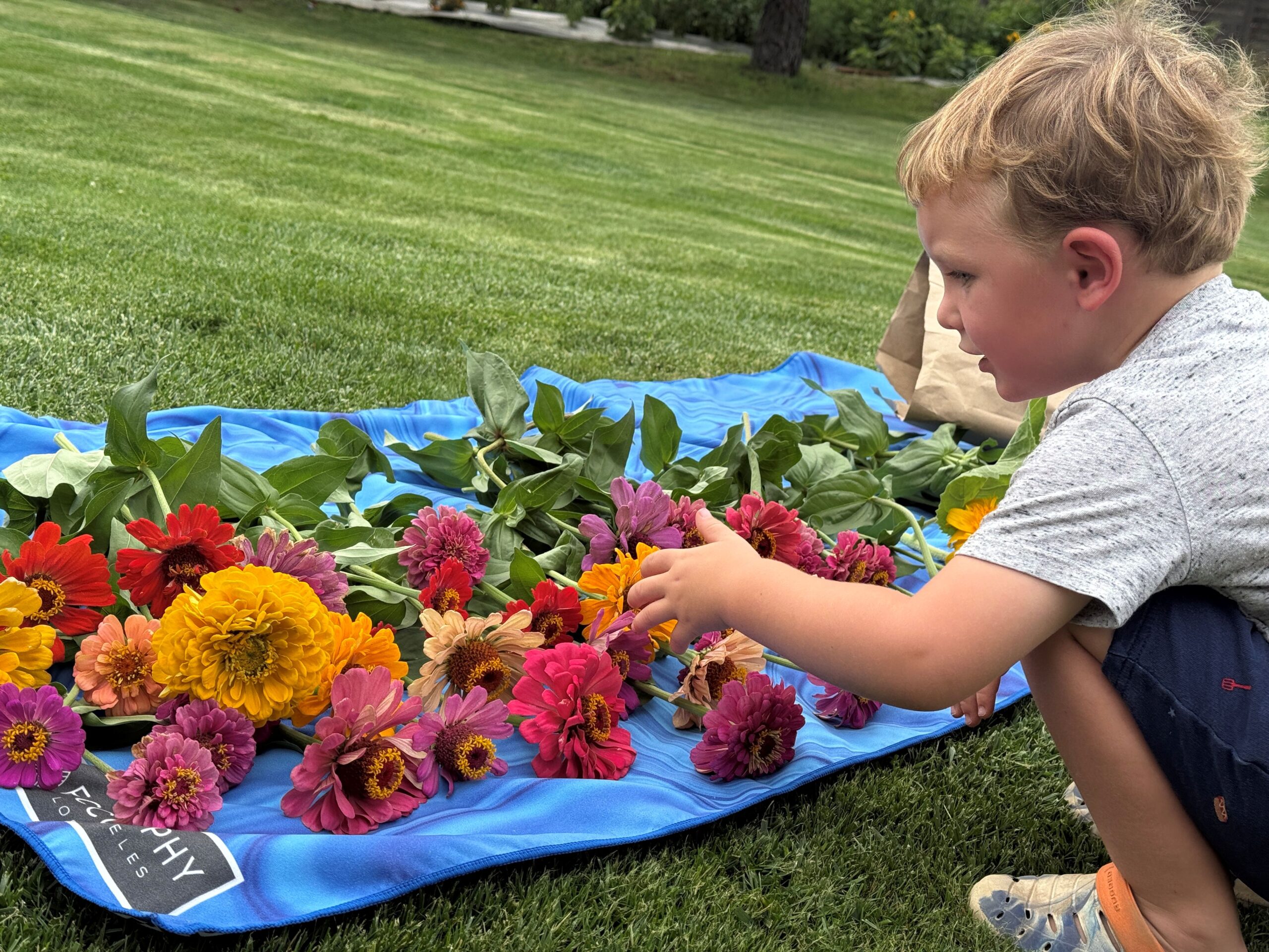 A young boy examines a vibrant collection of flowers spread on a blue blanket in a grassy area, showcasing nature's beauty and childhood exploration.